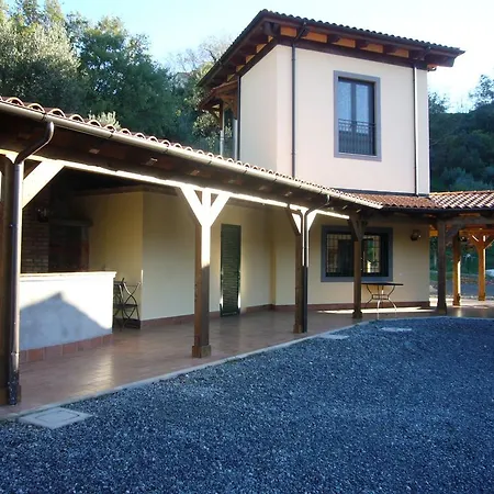 Guglielmone *
